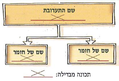 (נועם אומר:)אני מעדיף לארגן מידע בתרשימים כי כך רואים טוב יותר את הקשר בין המושגים